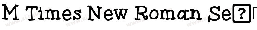 M Times New Roman Se字体转换 M Times New Roman Se字体转换